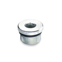 GN 749 Threaded Plug Steel Zinc-Plated